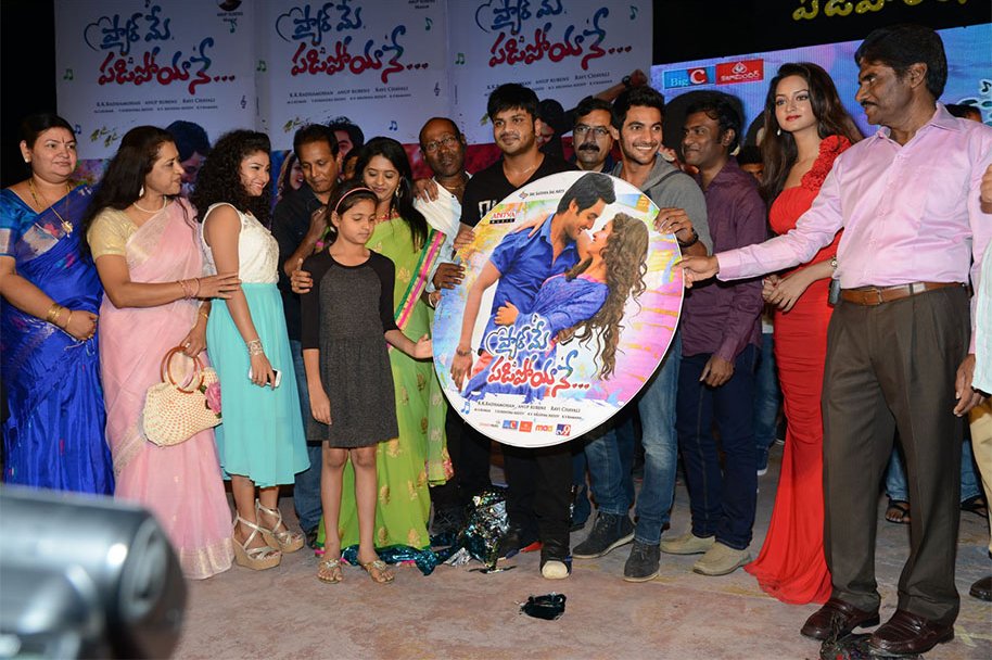 Pyaar-Mein-Padipoyane-Audio-Launch